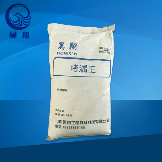 堵漏王